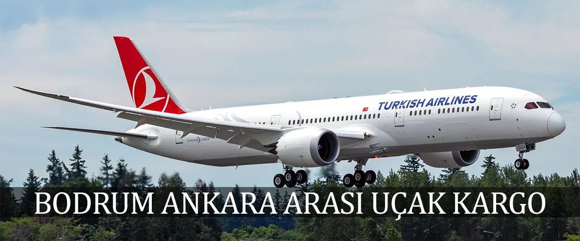 Bodrum Ankara Arası Uçak Kargo