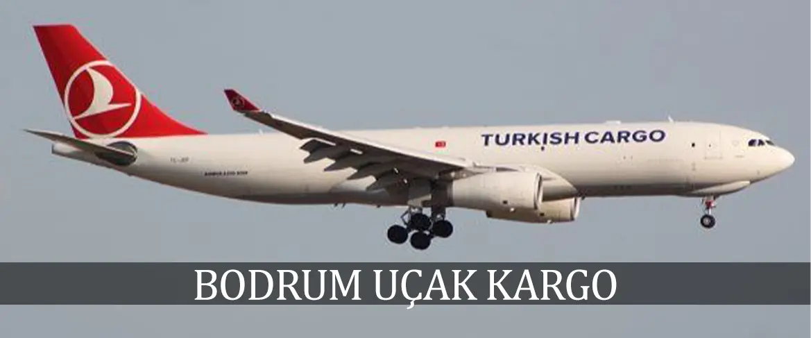 Bodrum uçak kargo