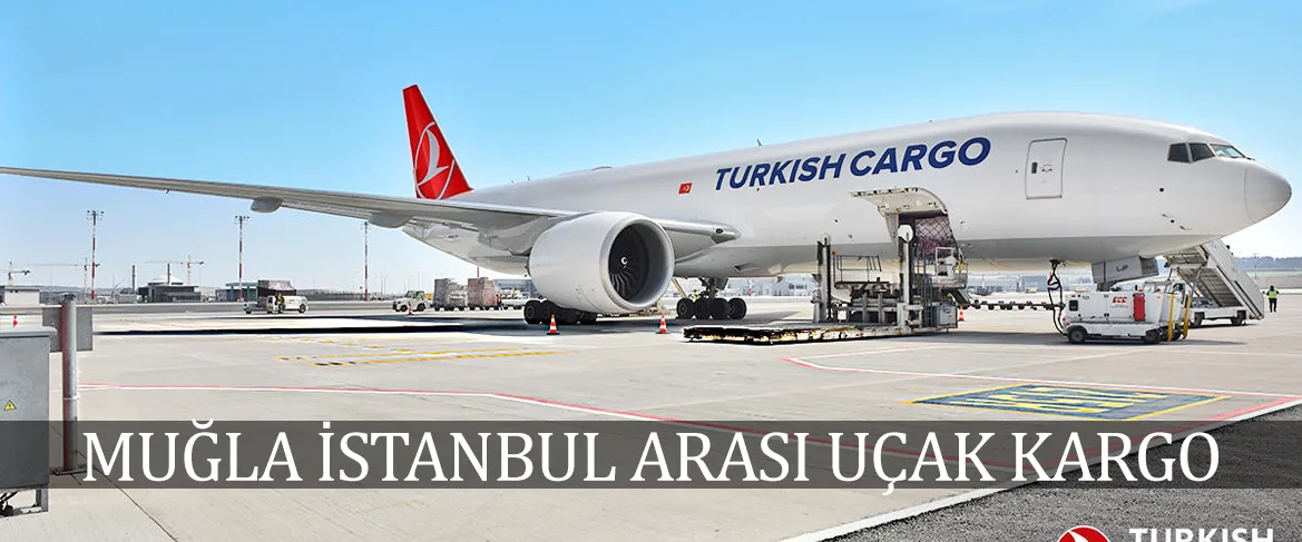 Muğla İstanbul Arası Uçak Kargo