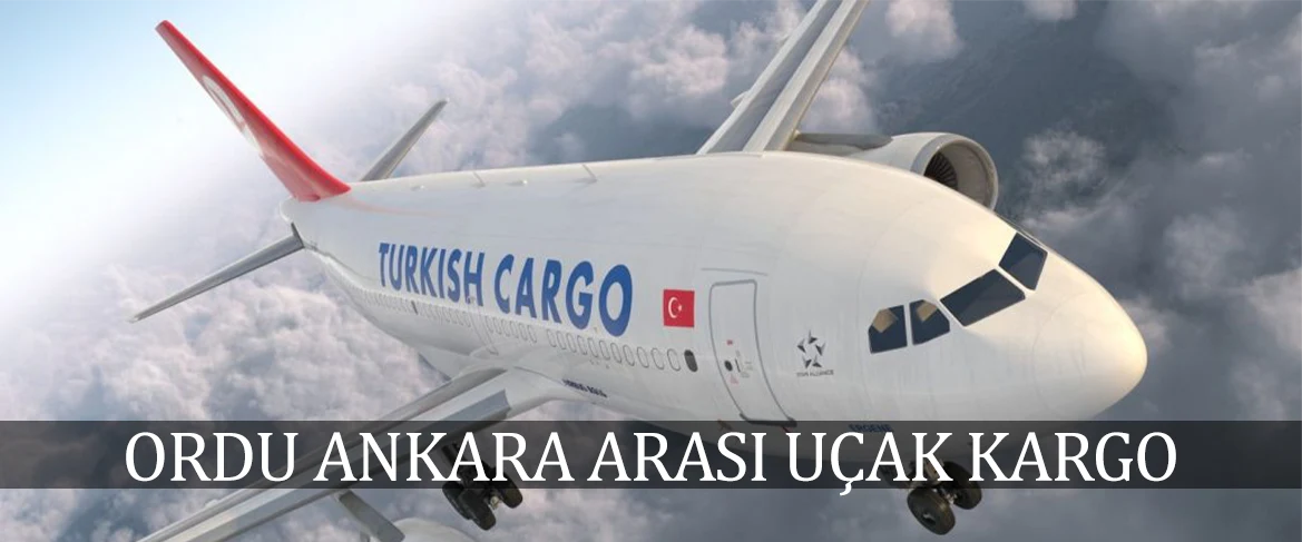 Ordu Ankara Arası Uçak Kargo