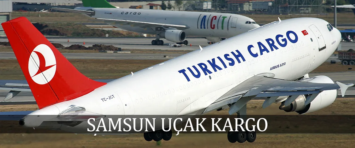 Samsun uçak kargo